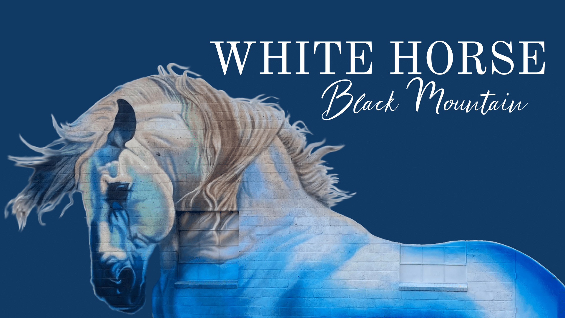 The White Horse Black Mountain Goes Non-Profit!